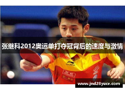 张继科2012奥运单打夺冠背后的速度与激情 张继科2012奥运单打夺冠背后的速度与激情