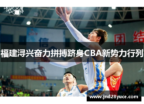 福建浔兴奋力拼搏跻身CBA新势力行列 福建浔兴奋力拼搏跻身CBA新势力行列