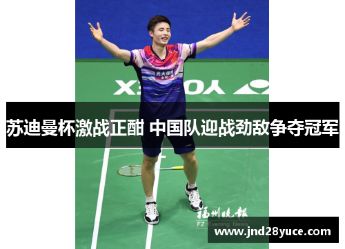 苏迪曼杯激战正酣 中国队迎战劲敌争夺冠军